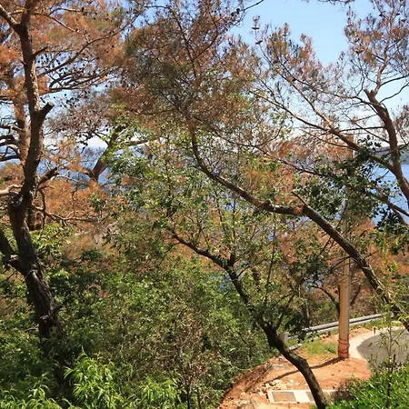 Apartmán 2359a Brseč