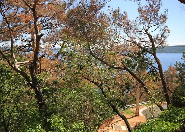 公寓 2359a 布鲁赛吉